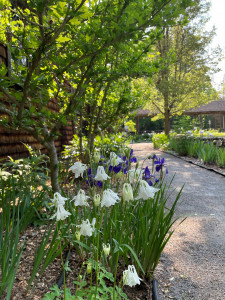 Adelynrood flower path